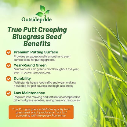 Outsidepride True Putt Perennial Creeping Bluegrass Seed - 10 Lbs. Shade-Tolerant Bluegrass for Golf Courses & Home Putting Greens - Ideal for Dense, Fine-Textured Lush Turf in Low-Light Areas