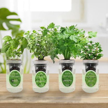 Hydroponic Herb Growing Kit Set, Self-Watering Mason Jar Herb Garden Starter Kit Indoor, Grow 4 Kinds of Herbs from Seeds (Basil, Mint, Parsley & Oregano)