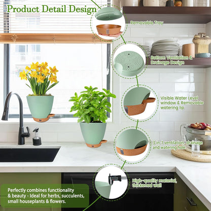 6 Inch Self Watering Pots for Indoor Plants (5-Pack) – Small Plastic Planters with Water Window, Drainage Holes & Trays, Indoor Outdoor Flower Pots for Herbs, Succulents, Home Garden Decor (Green)