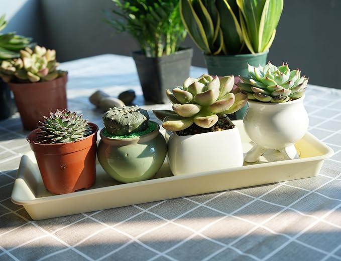 2 Pack of Plastic Plant Tray Saucer Rectangular, Pot Trays Saucers for Indoors Outdoor, Plant Water Drip Tray for Flower Pot Planter, Windowsill Planter Trays (6.5 X 13 Inch, Beige)