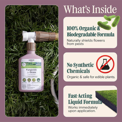 Organic Fungicide for Lawns, Trees & Shrubs – 16oz Ready-to-Spray – Lawn Fungicide for Brown Patch, Rust, Grubs, Disease & Moss – Safe for Grass, Kids & Pets – Lawn Care & Fungus Control