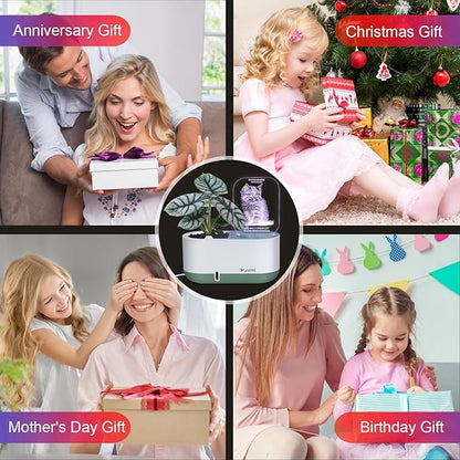 Self-Watering Plant Pot with LED Note Board & 7 Colors Pen Acrylic Message Board with Light Acrylic Dry Erase Board, Led Cat Board Night Light with Planting Pot for Room/Store/Office (No Plant&Seed)