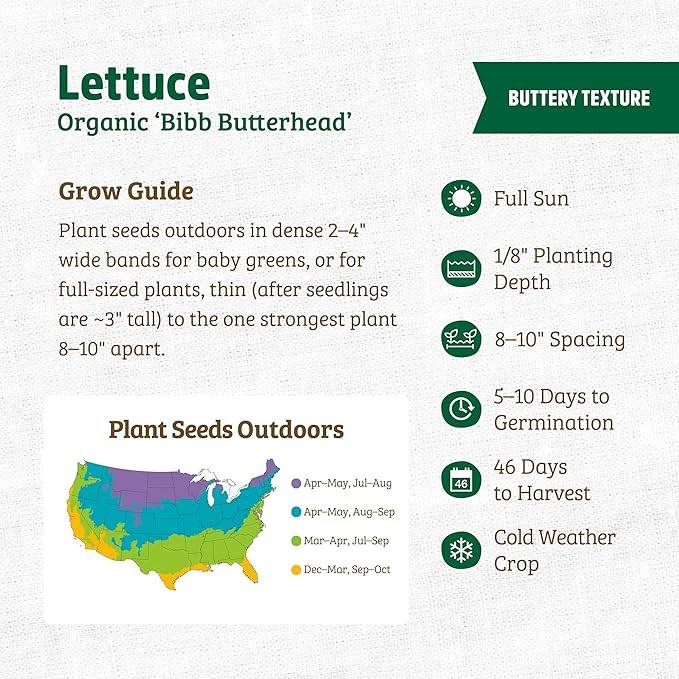 Back to The Roots 100% Organic Heirloom Seeds - Bibb Lettuce Value Pack (840mg Total)