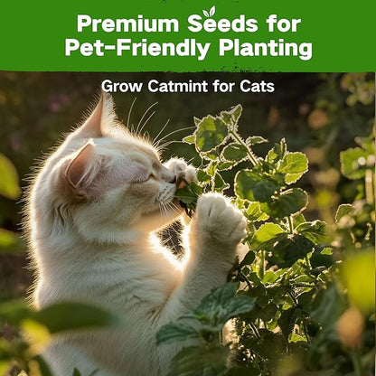 Lush&Dew Pet-Friendly Heirloom Seed Bank, Gardening Gifts for Women Men, 16 Varieties 15,000+ Non-GMO Seeds for Planting Herbs Flowers Vegetables in Raised Bed Windowsill, Annuals & Perennials