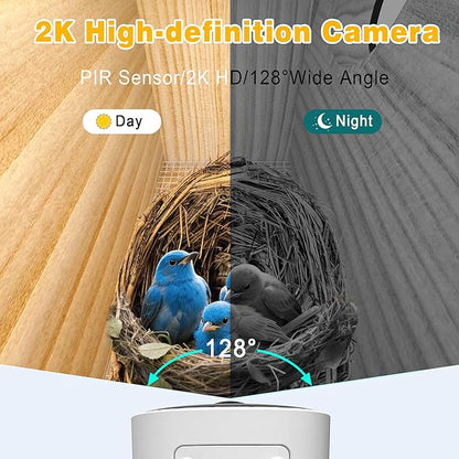 HITTITE Bird House with Camera, 2K HD Solar Powered Bird Houses for Outside with AI Identify, Auto Detect & Notify, Night Vision, Outdoor Birdhouse with Camera for Blue Bird & Other Backyard Birds