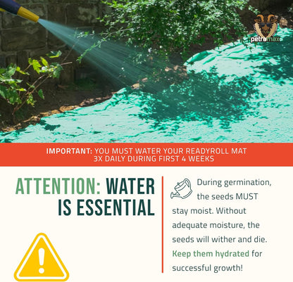 PetraMax ReadyRoll Biodegradable Grass Seed Mats for Lawns - Roll Out Mat with Tall Fescue & Kentucky Blue Grass Seeds for Lawn - Great Patch Repair, New Lawn or Erosion Control (Kentucky, 216 Sq Ft)