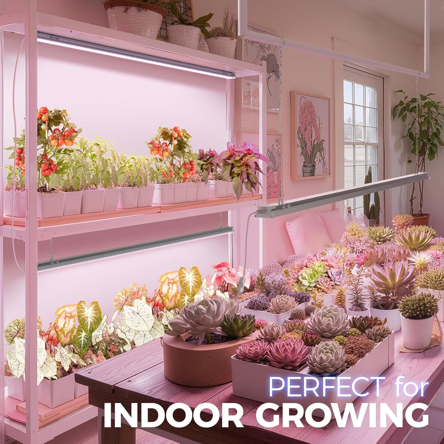 Barrina TX-S60 4FT Grow Light for Indoor Plants, 60W(420W Equivalent), Full Spectrum, High PPFD, Super Bright, Linkable, Grow Lights for Seed Starting, Greenhouse, Vegetables with On/Off Switch 1 Pack