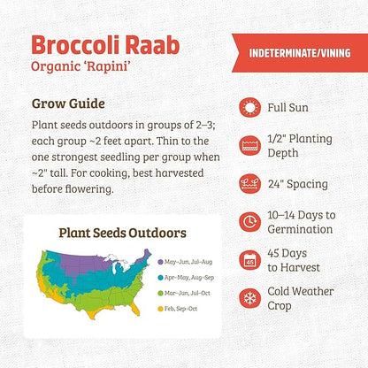 Back to The Roots 100% Organic Heirloom Seeds - Broccoli Raab Value Pack (400mg Total)