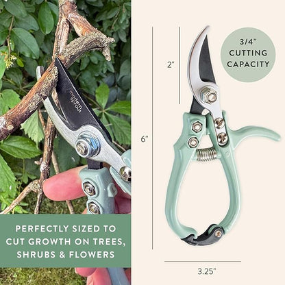 Modern Sprout Hand Pruners - Lightweight Pruning Shears W/Easy Lock- Gardening Scissors - Bypass Sharp Carbon Steel Blade - Rust Resistant - Garden Tools - Reusable Holster - Chartreuse