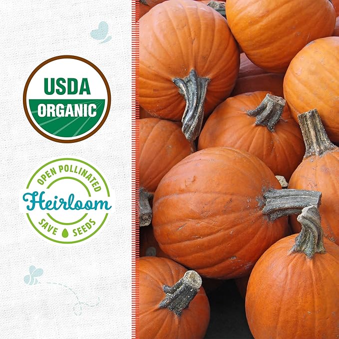 Back to The Roots 100% Organic Heirloom Seeds - New England Pie Pumpkin Value Pack (5g Total)