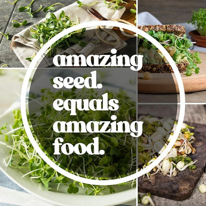 Speckled Pea Sprouting Seeds - 25 g Packet ~75 Seeds - Certified Organic, Non-GMO Green Pea Sprout Seeds - Sprouts & Microgreens