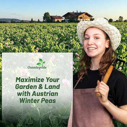 Outsidepride Austrian Winter Peas Seeds for Planting – 5 lbs Bag (Cool-Season Cover Crop, High-Protein Deer Food Plot Seed) Field Peas, Cover Crop Seeds, Spring Mix for Soil Health & Forage