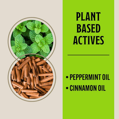 Grandpa Gus's Mouse Rodent Repellent Spray (8 oz) Bundled with Mouse Repellent Pouches (10 Pouches)