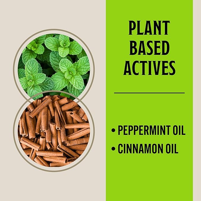 Grandpa Gus’s Extra-Strength Mouse Repellent Pouches, Peppermint & Cinnamon Oil, Natural Rodent Deterrent Control for Garage, RV, Car, Basement, Attic, Storage, 1.75 Oz (Pack of 10)