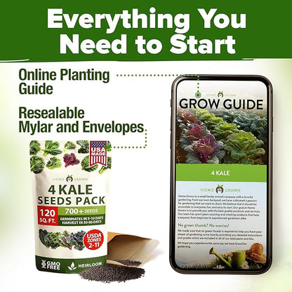 HOME GROWN 𝗨𝗦𝗔 𝗣𝗥𝗘𝗠𝗜𝗨𝗠 Heirloom Vegetable Seeds 𝗡𝗢𝗡-𝗚𝗠𝗢 Vegetable Seeds for Planting Home Garden, Beans, Carrots, Peppers, Cucumber, Kale, Pepper Seeds, Tomato (4 Kale)