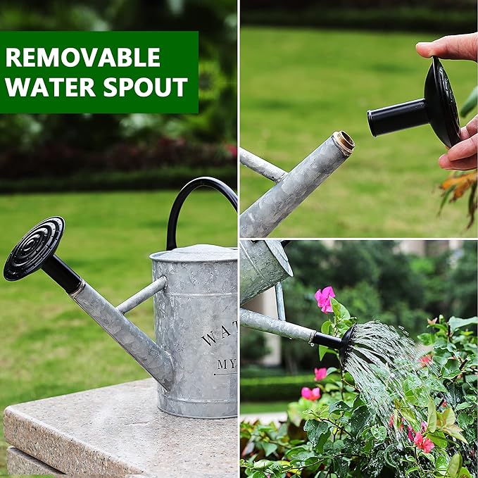 Galvanized Watering Can for Outdoor Indoor Plants, 1 Gallon Decorative Countryside Style Water Can with Removable Spout, Perfect Metal Watering Can for Indoor Plants and Garden Flower