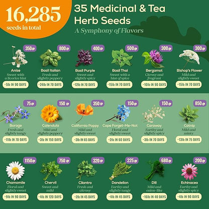 35 Medicinal & Tea Herb Seeds Variety Pack - 16,285+ Non-GMO Heirloom Herbs Seeds for Planting Indoor & Outdoor: Lavender, Rosemary, Echinacea, Mint, Catnip, Basil - Gardening Seed Packets