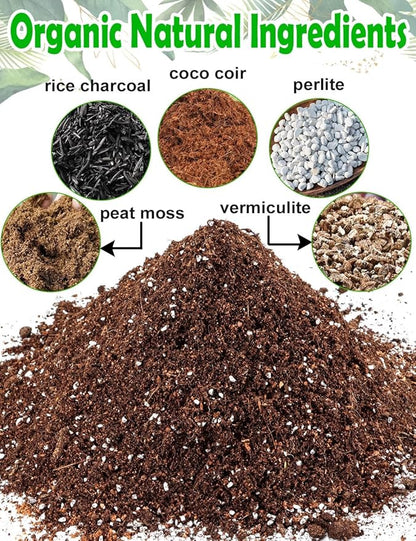 TOYPOPOR Potting Soil for All Indoor Houseplants, (6qt) Contains Perlite, Peat Moss, Coco Coir, Rice Charcoal, Well Draining Potting Mix Light, Aerated Texture for Healthy Plant Roots, Fast Growth