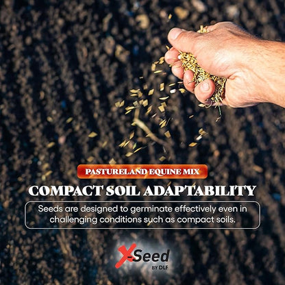 X-Seed Pasture Land Dry-Land Forage Seed Mixture with Micro-Boost – Tall Fescue Orchard Grass Ryegrass Endophyte Free Pasture for Safe Nutrition of Livestock, Formulated for Dry Areas – 7-Pound Bag