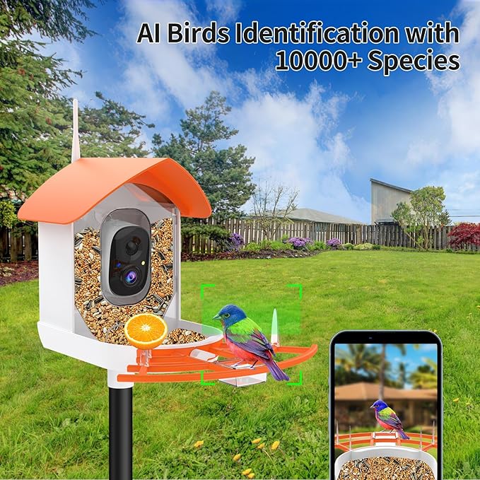 Bird Feeder with Camera,Smart Bird Feeder Camera with Solar Powered,AI Identify Birds Species,Bird Watching,Auto Record FHD 2K Feathered Visitor Video in Backyard,Ideal Gifts for Birds Lovers