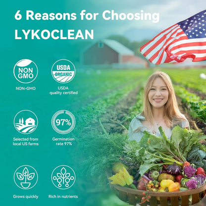 LYKOCLEAN Flower Seed Pods for Ahopegarden, iDOO MUFGA Hydroponics Growing System Indoor Gardening, 400+ Seeds, Dwarf Sunflower Bambino, French Marigold, Dahlia, Dwarf Petunia(18-Pods)