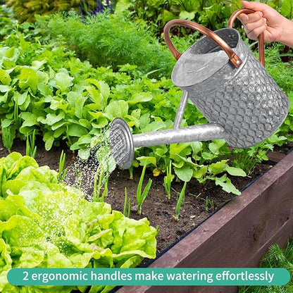 1 Gallon Metal Watering Can for Outdoor Indoor Plants, Galvanized Watering Can with Removable Spray Spout, Ideal for Garden Watering
