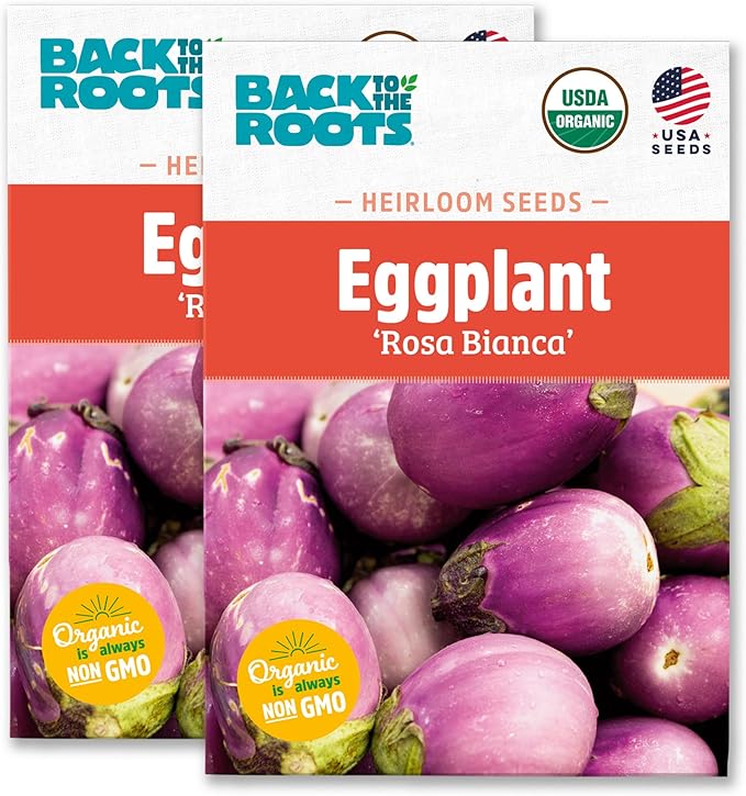 Back to The Roots 100% Organic Heirloom Seeds - Eggplant 'Guinea Squash' Value Pack (280mg Total)