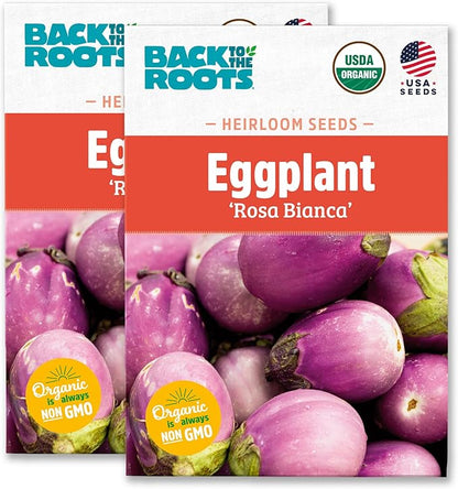 Back to The Roots 100% Organic Heirloom Seeds - Eggplant 'Guinea Squash' Value Pack (280mg Total)