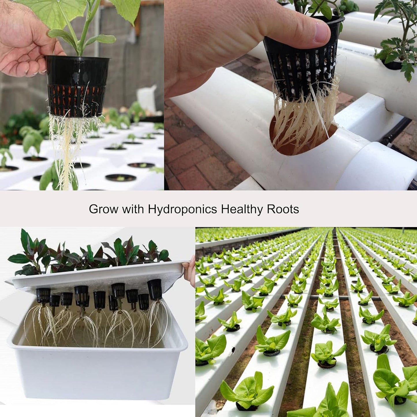 ORIMERC 30 Pack 3 inch Net Cup Pots with 30 feet Hydroponic Self Watering Wick & 30 Plant Labels Aquaponics Mason Jar Bucket Insert Orchid kratky Vegetable Gardening Growing Netted Basket Slotted Mesh