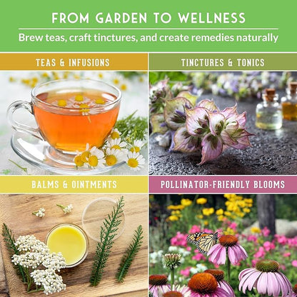 Ultimate Medicinal Herb Seeds Variety Pack – 36 Heirloom Varieties, 28,000+ Lavender, Calendula, Echinacea, Peppermint, Yarrow – Non-GMO Garden Kit by Survival Garden Seeds