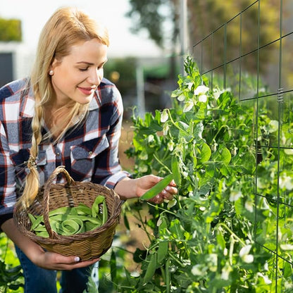 DOEWORKS Cucumber Trellis, 39" High Foldable A Frame Garden Trellis, 2 Pack, Plant Support for Climbing Cucumber, Beans, Tomatoes, Flowers, Green