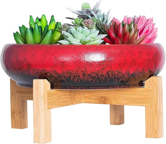 ARTKETTY Succulent Pots - 10 Inch Ceramic Bonsai Pots with Drainage Stand, Large Shallow Planters for Indoor Plants Decorative Garden Cactus Flower Plant Container Bowl