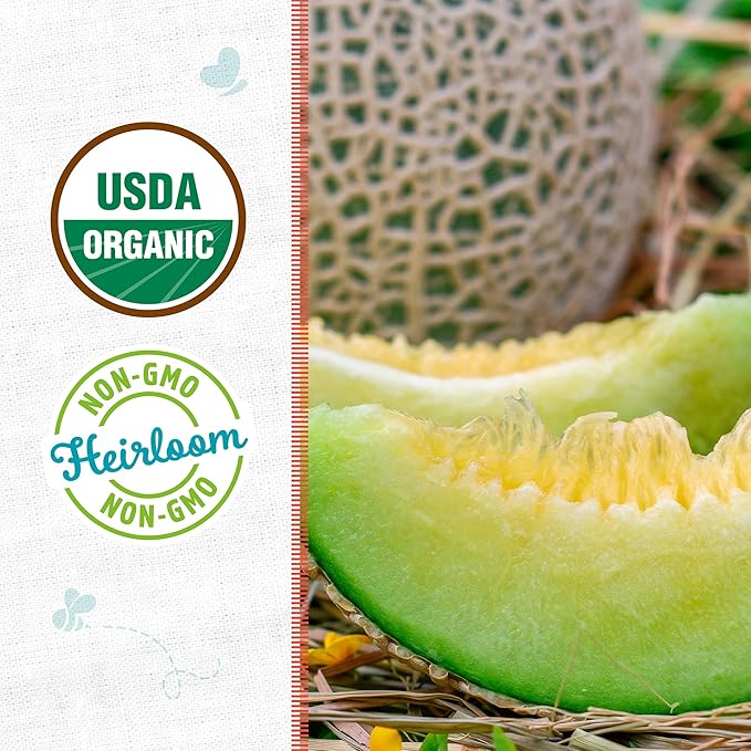 Back to The Roots 100% Organic Heirloom Seeds - Honeydew Melon Value Pack (1.6g Total)