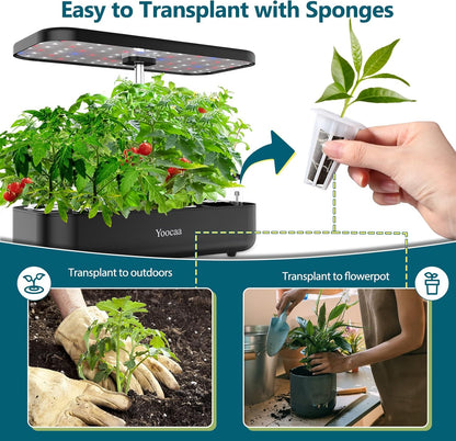 Yoocaa Seed Pods Kit for Hydroponics Growing System, 24pcs Grow Sponges with A&B Solid Nutrient Plant Foods, Seed Starter Pods Replacement Root Growth Sponges Compatible with Idoo,QYO, LYKO (Square)