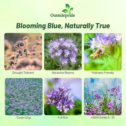 Outsidepride Lacy Phacelia Seeds for Planting - 5 Lbs. Annual, Drought-Tolerant Wildflower Seeds with Light Violet Flowers, Ideal for Pollinator Gardens, Erosion Control, & Attracts Bees & Butterflies