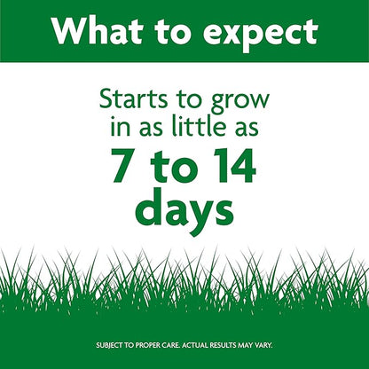 Scotts Professional Turfgrass Seed Tall Fescue Mix, Uncoated, 99.9% Weed Free, 50 lbs.