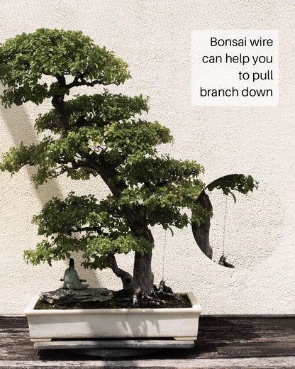 MoHern Bonsai Wire and Bonsai Tool Kit, Total 164 Feet Bonsai Tree Wire for Bonzai Trees Indoor, Size of 1-mm, 1.5-mm, 2-mm Aluminum Wire