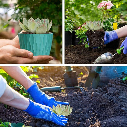 6 Pack 4 Inch Small Plant Pots with Saucers, Waffle Texture Plastic Planters with Drainage Holes for Indoor and Outdoor Plants, Flowers, Herbs, Succulents, and Seedlings, Blue