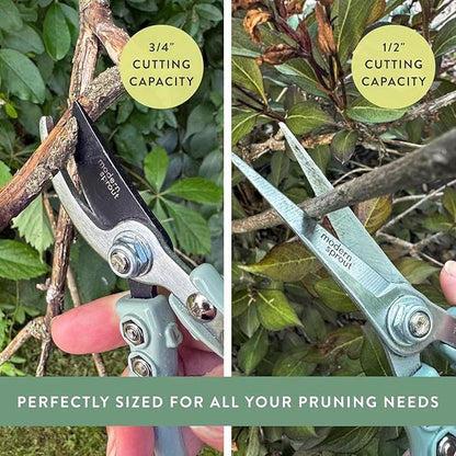 Modern Sprout Hand Pruners & Shears Set with Blister Pack - Lightweight Gardening Tools with Easy Lock - Sharp Carbon Steel Blades -Rust Resistant Scissors for Herbs, Flowers - Chartreuse
