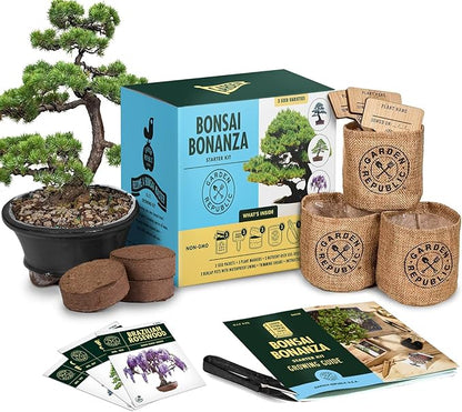 Garden Republic Bonsai Tree Kit - Grow 3 Mini Bonsai Trees, Indoor Plant Growing - Starter Kit with Seeds, Soil, Planters & Shears, Gardening Gifts for Women, Fathers Day Gardening Gifts