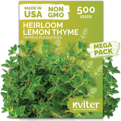 KVITER 500 Lemon Thyme Seeds for Planting (Thymus Pulegioides) – Wild Creeping Thyme Seeds Ground Cover, Aromatic & Drought-Tolerant Herbaceous Flower – Ideal for Walls, Fences & Herb Garden