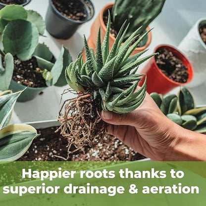 Succulent & Cactus Soil Mix by Perfect Plants (1QT)