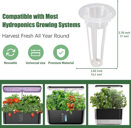 Mint Seed Pods for All Hydroponics Growing Systems, 12 Pods Herb Kit with Seeds of Peppermint, Grow Your Own Herb Garden at Home