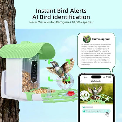 Bird Feeder with Camera, Smart Bird Cam with AI Identify BirdSpecies, Auto Record BirdVideo, Instant Notifications, 2K Video Live Stream Camera with Solar Panel for Birds Lover (Green)