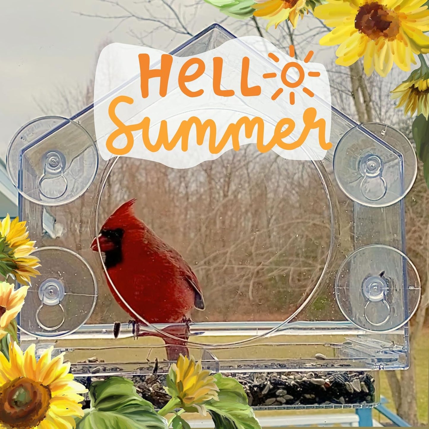 Nature Anywhere Window Bird Feeder - Transparent Acrylic Bird Feeders for Outdoors - Enhanced Suction Grip, Bird Watching for Cats, Easy-to-Clean, Outdoor Birdhouse Feeder (1 Unit)