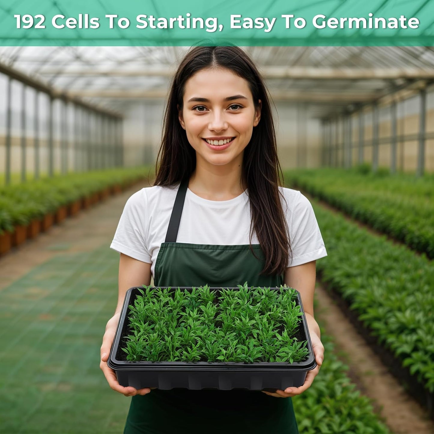 Seed Starter Tray, Seedling Starter Trays for Starting Plant Seeds, Indoor Gardening Plant Germination Trays, Black, 6PCS