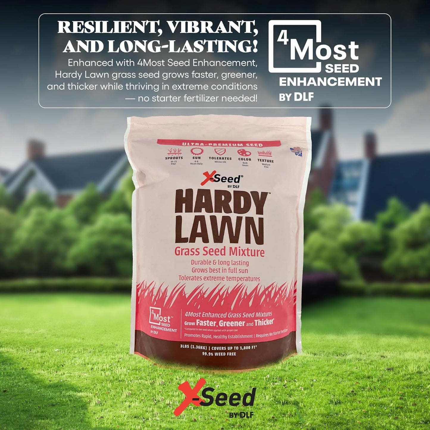 X-Seed Hardy Lawn Grass Seed Mixture - Durable, Long-Lasting Lawn Solution for Full Sun, Withstands Extreme Temperatures & Heavy Traffic, Ideal for Backyards, 3 lbs.