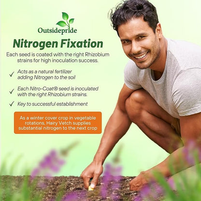 Outsidepride Hairy Vetch Cover Crop Seeds - 1 Lb Cold Tolerant, Winter Hardy - Ideal for Soil Improvement, Green Pasture, Hay & Livestock Forage - Pollinator Friendly Garden Seeds, Ground Cover