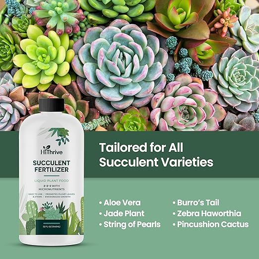 32oz Succulent Fertilizer - Makes 64 Gallons of Succulent Plant Food for Succulents Plants Live, Liquid Fertilizer for Succulents - Promotes Vibrant Leaves, Resilient Roots, and Plump Growth