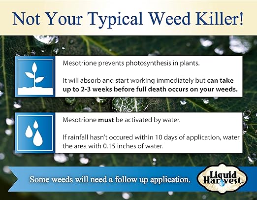 Liquid Harvest Mesotrione - 8oz - Mesotrione Concentrate (Compare to Tenacity) - Pre and Post-Emergent Weed Killer for Lawn and Turf Grasses
